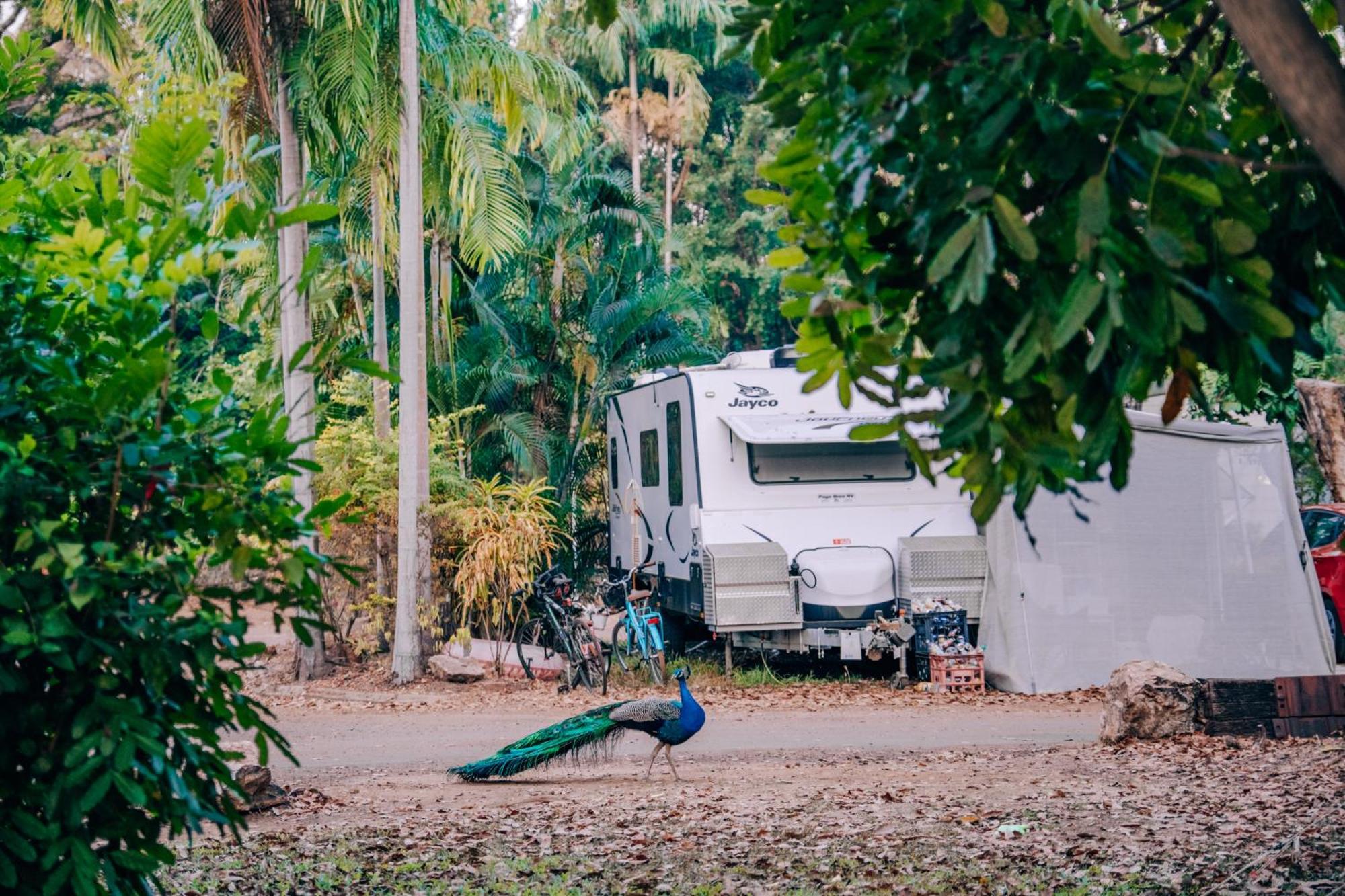 Big4 Howard Springs Holiday Park Darwin Exteriör bild